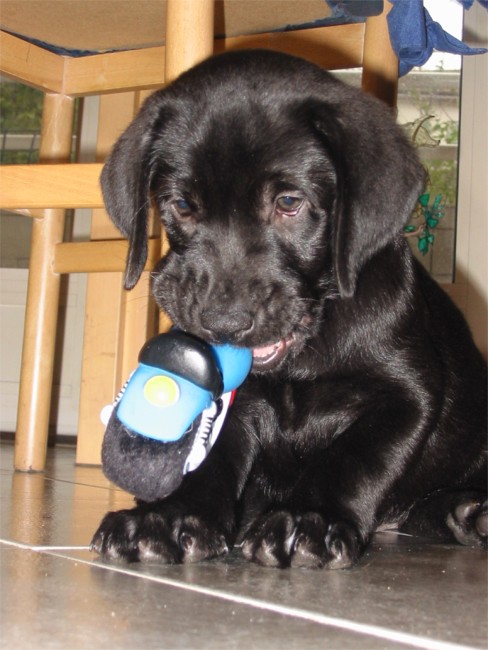 5dicembre2005.jpg