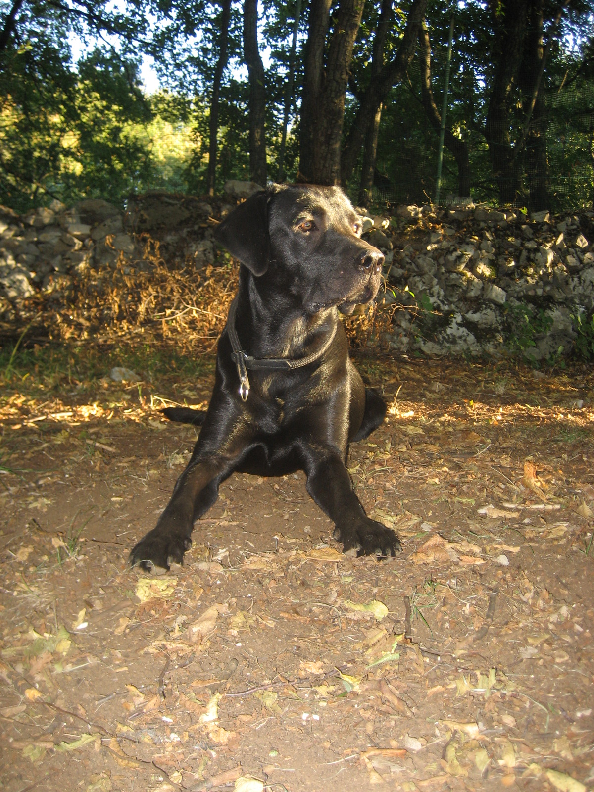 10ottobre2006 (15).JPG