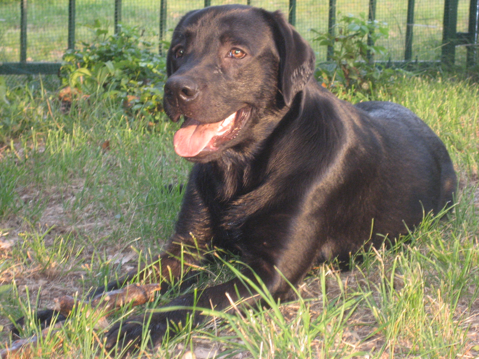 15giugno2006(9).JPG