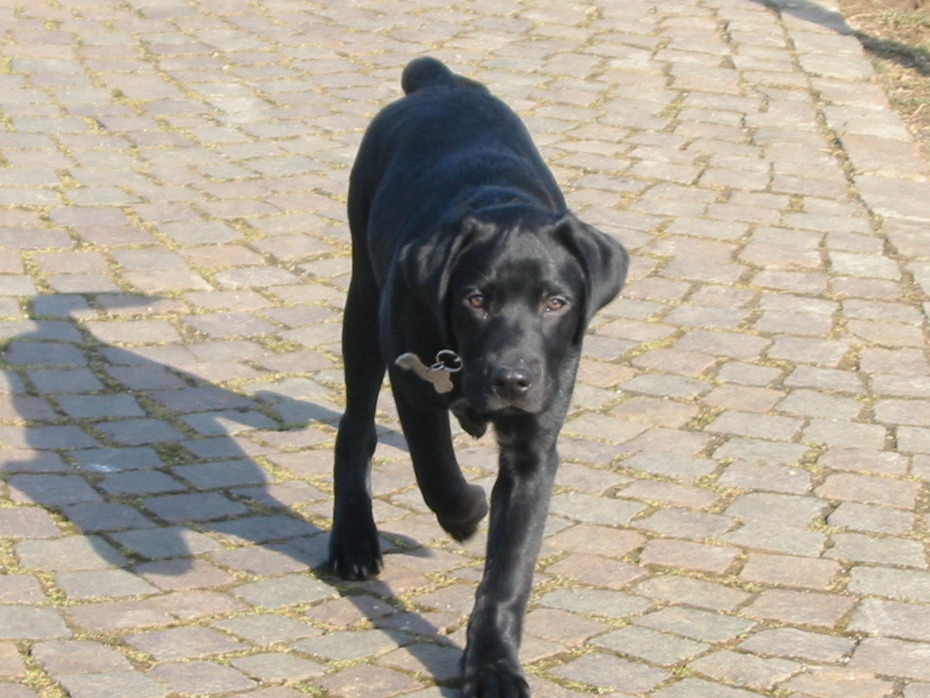 4febbraio2006.JPG
