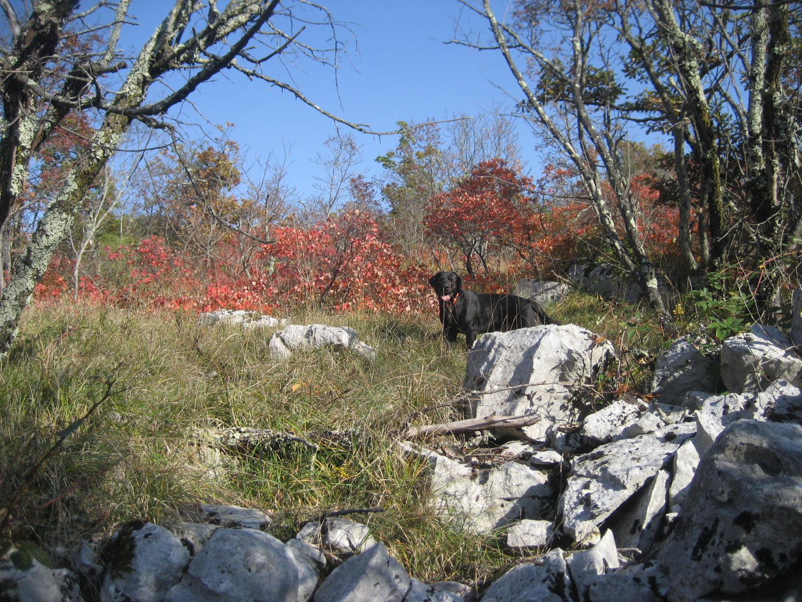 IMG_6747.JPG